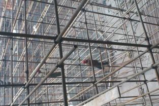 百業信息 分類信息 